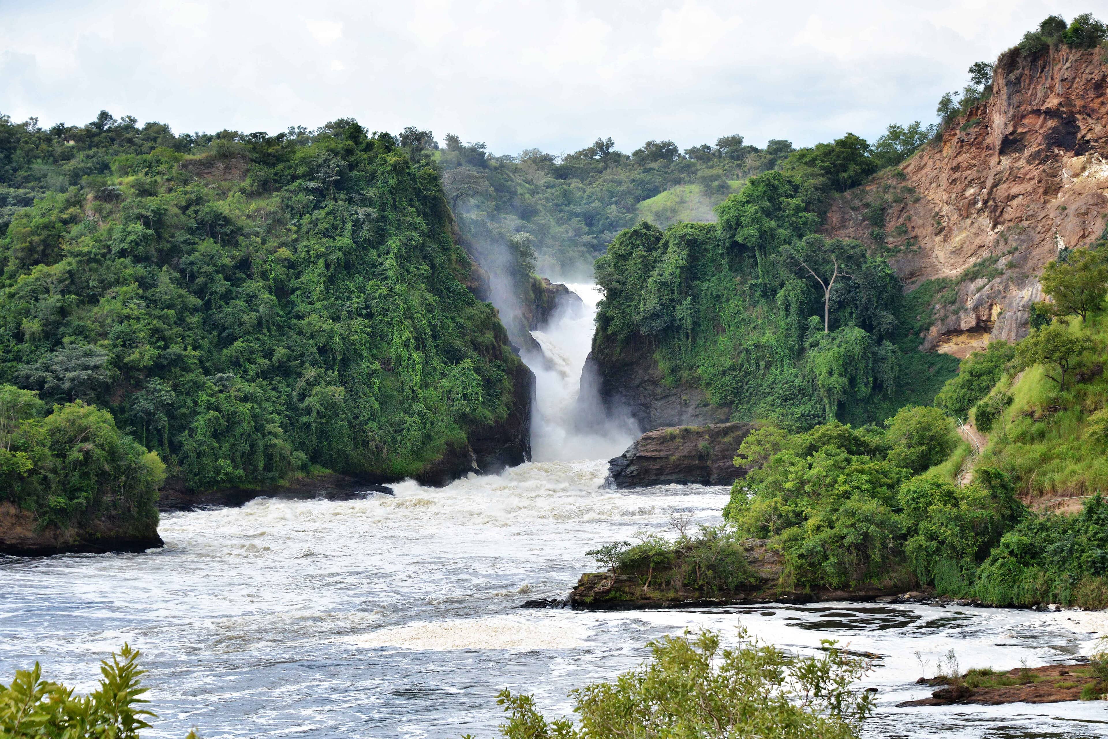 Murchison Falls thundering through a lush green gorge on the River Nile in Uganda