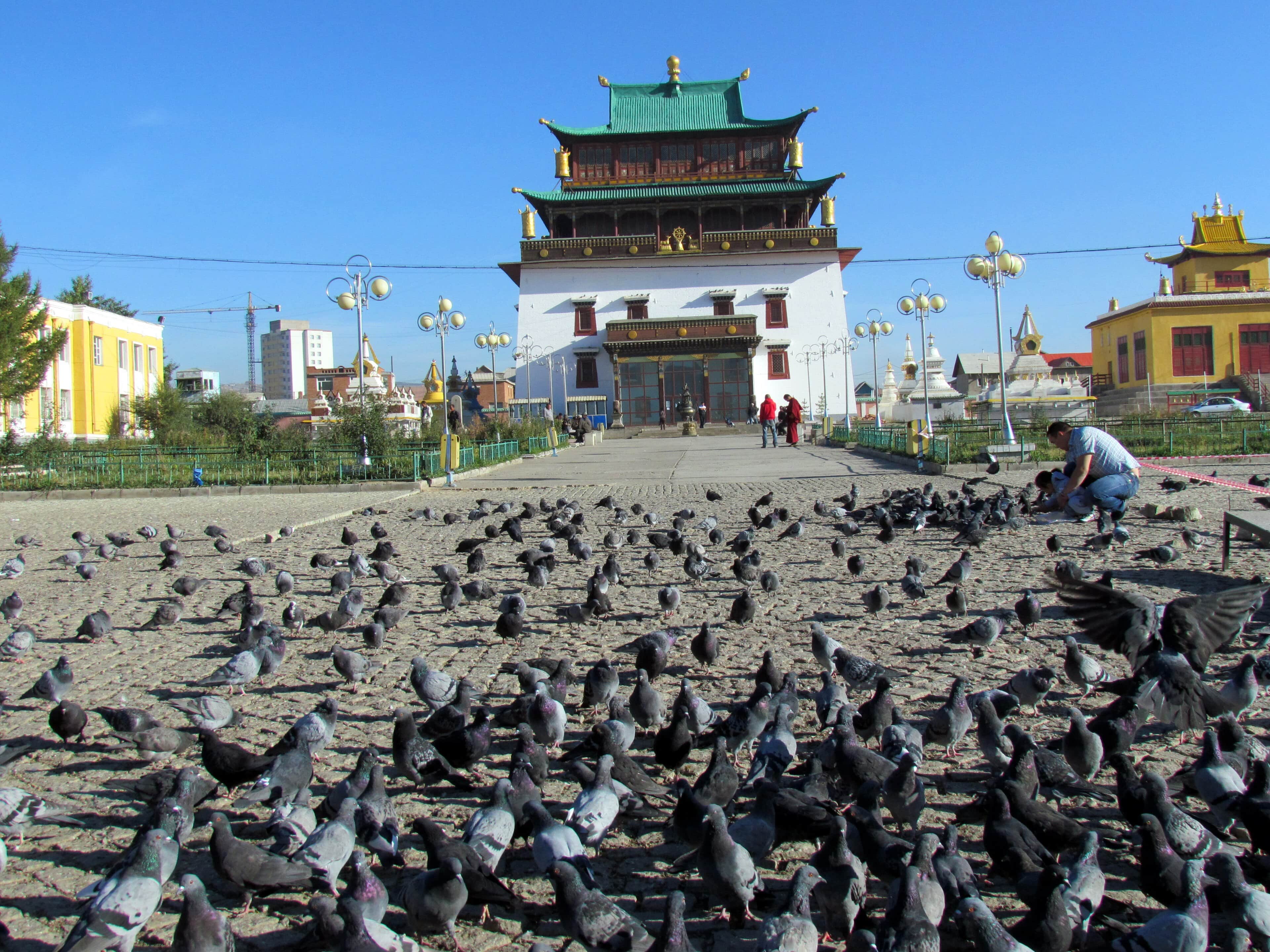 Gandantegchinlen Monastery in Ulaanbaatar under bright blue skies, with pigeons filling the square outside.','