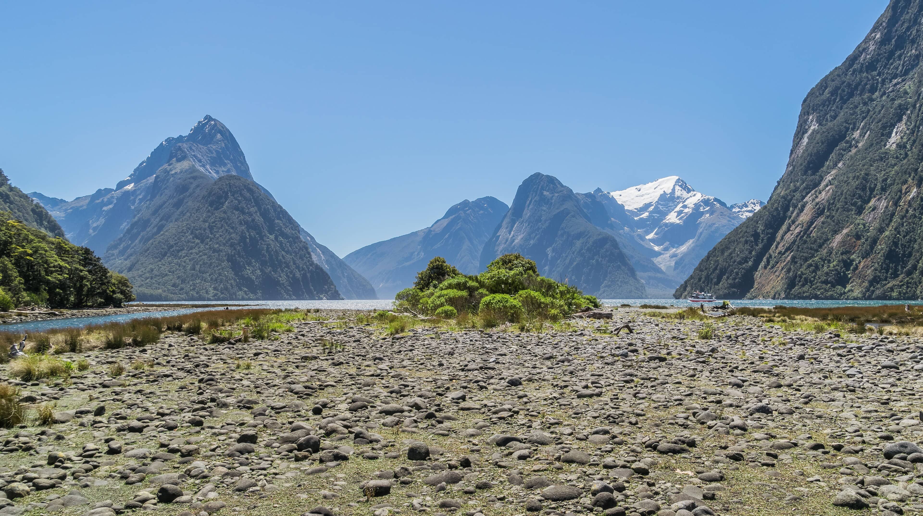 Milford Sound in Fiordland National Park on New Zealand's South Island, with steep forested peaks rising above the water